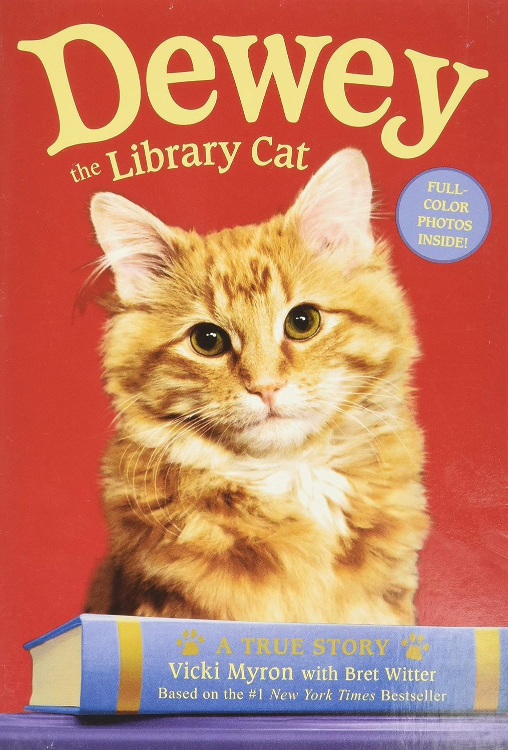 books about cats