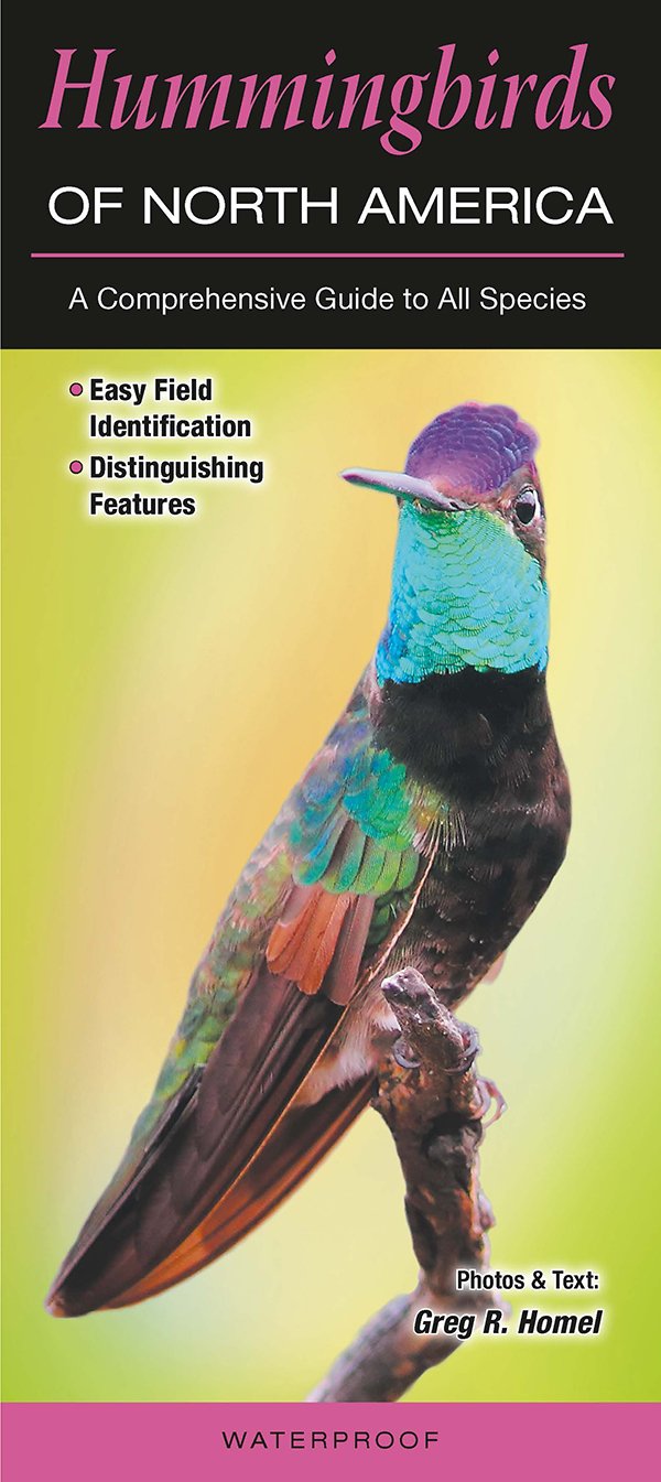 books about hummingbirds12