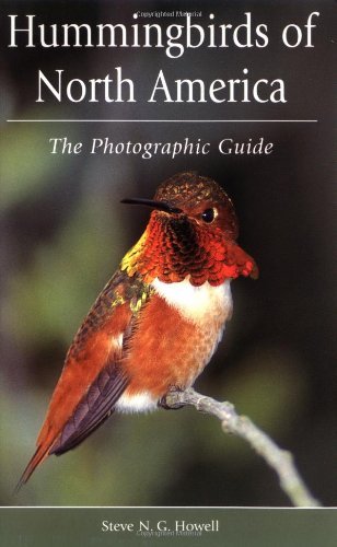 books about hummingbirds14