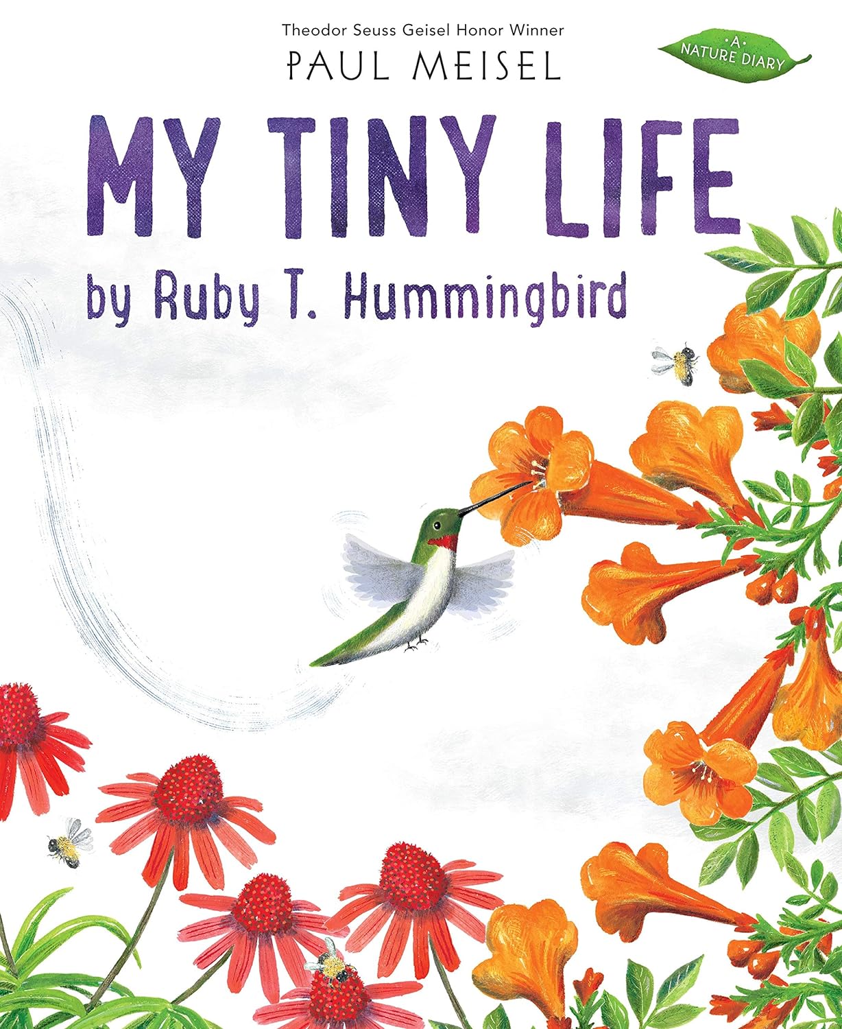 books about hummingbirds15