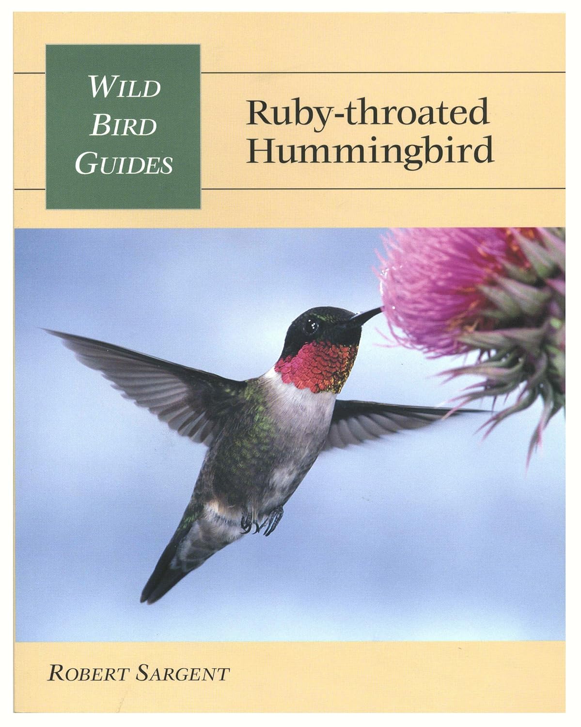 books about hummingbirds6
