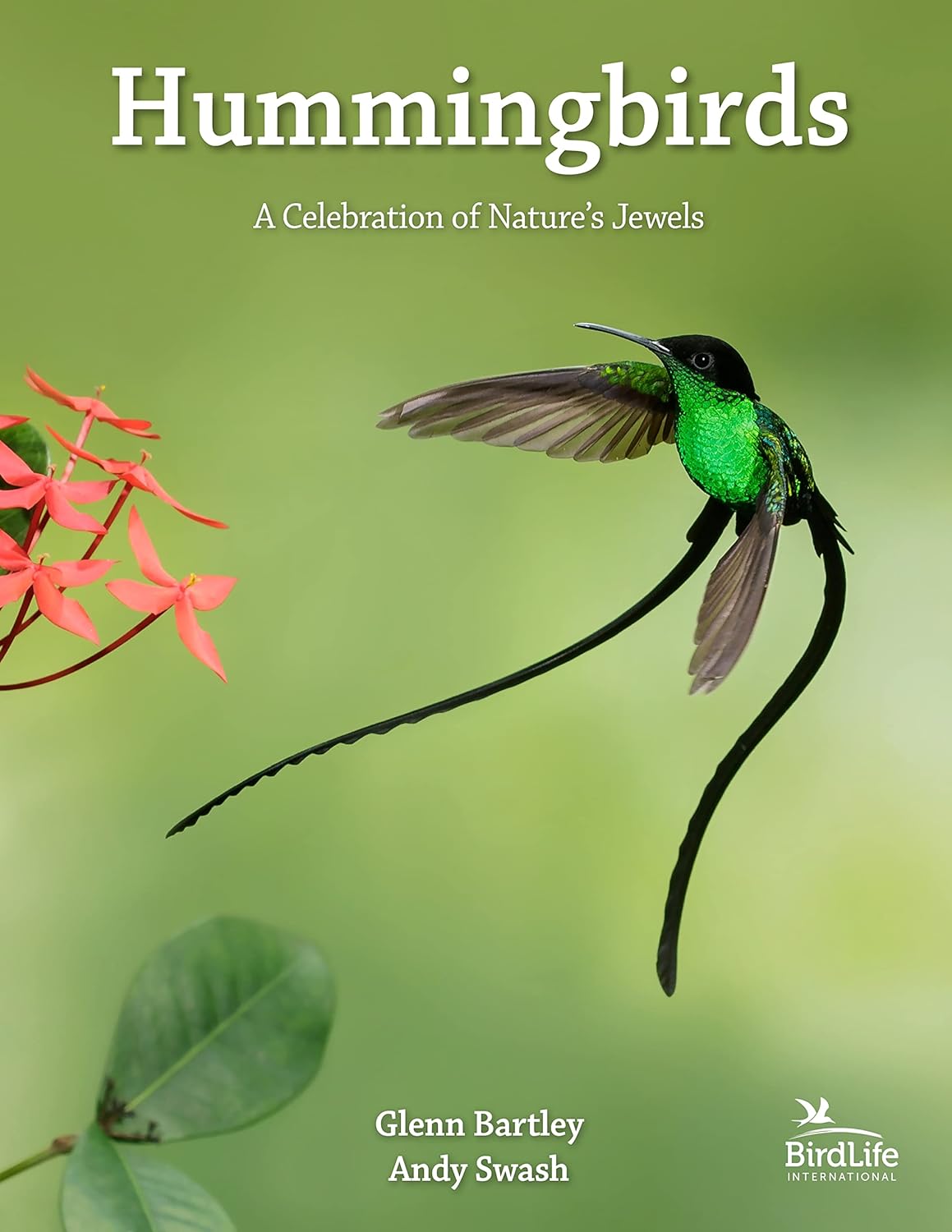 books about hummingbirds7