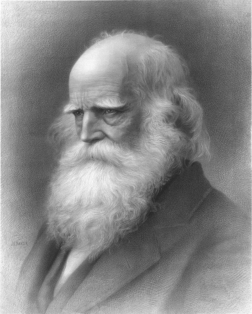Portrait of William Cullen Bryant