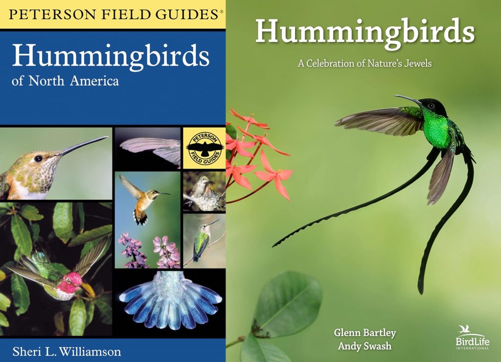 books-about-hummingbirds
